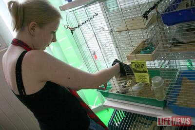 Продавцы с любовью относятся у пушистому Кака