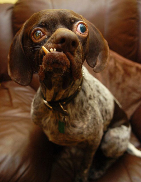 %D0%92%D0%BD%D0%B5%D1%88%D0%BD%D0%B8%D0%B9%20%D0%B2%D0%B8%D0%B4%20%D0%90%D0%B3%D0%B0%20%D0%BD%D0%B5%20%D1%81%D0%BC%D1%83%D1%82%D0%B8%D0%BB%20%D0%B5%D0%B3%D0%BE%20%D0%BD%D0%BE%D0%B2%D1%8B%D1%85%20%D1%85%D0%BE%D0%B7%D1%8F%D0%B5%D0%B2