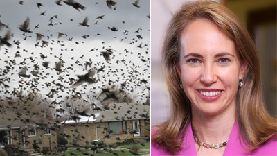 %D0%A1%D0%BF%D0%B5%D1%86%D0%B8%D0%B0%D0%BB%D0%B8%D1%81%D1%82%D1%8B%20%D1%81%D0%B2%D1%8F%D0%B7%D0%B0%D0%BB%D0%B8%20%D1%80%D0%B0%D1%81%D1%81%D1%82%D1%80%D0%B5%D0%BB%20%D1%87%D0%BB%D0%B5%D0%BD%D0%B0%20%D0%9A%D0%BE%D0%BD%D0%B3%D1%80%D0%B5%D1%81%D1%81%D0%B0%2C%20%D0%BA%D1%83%D1%80%D0%B8%D1%80%D1%83%D1%8E%D1%89%D0%B5%D0%B9%20%D1%80%D0%B0%D0%B7%D1%80%D0%B0%D0%B1%D0%BE%D1%82%D0%BA%D0%B8%20%D0%BA%D0%BE%D1%81%D0%BC%D0%B8%D1%87%D0%B5%D1%81%D0%BA%D0%BE%D0%B3%D0%BE%20%D0%BE%D1%80%D1%83%D0%B6%D0%B8%D1%8F%2C%20%D0%B8%20%D0%BC%D0%B0%D0%B0%D1%81%D0%BE%D0%B2%D1%8B%D0%B9%20%D0%BC%D0%BE%D1%80%20%D0%BF%D1%82%D0%B8%D1%86.