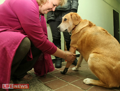 %D0%9F%D0%B5%D1%80%D0%B5%D0%B4%20%D0%BF%D1%80%D0%BE%D0%B3%D1%83%D0%BB%D0%BA%D0%BE%D0%B9%20%D0%9B%D0%BE%D1%80%D0%B4%20%D0%BD%D0%B0%D0%B4%D0%B5%D0%B2%D0%B0%D0%B5%D1%82%20%D0%BF%D1%80%D0%BE%D1%82%D0%B5%D0%B7