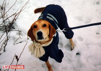 %D0%9B%D0%BE%D1%80%D0%B4%20%D1%81%D1%82%D0%B0%D0%BB%20%D0%BB%D1%8E%D0%B1%D0%B8%D0%BC%D1%86%D0%B5%D0%BC%20%D0%B2%D1%81%D0%B5%D0%B9%20%D0%BE%D0%BA%D1%80%D1%83%D0%B3%D0%B8