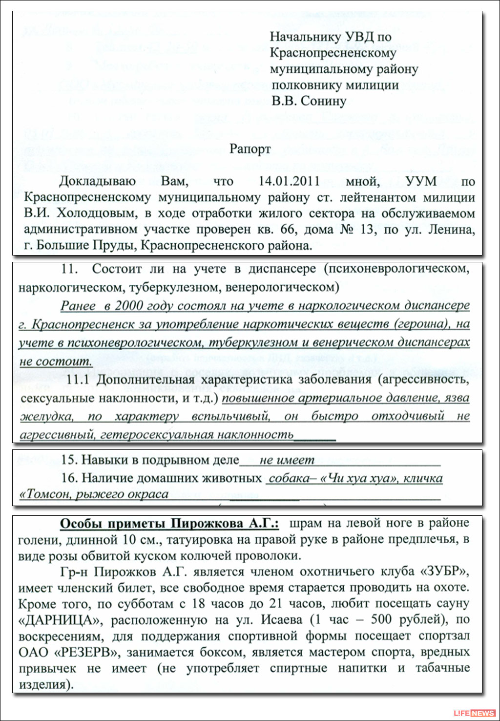 все образцы рапортов