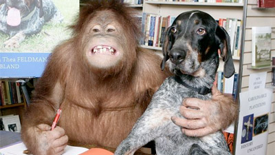 %D0%A0%D0%BE%D1%81%D0%BA%D0%BE%20%D1%83%D0%B6%D0%B5%20%D0%BD%D0%B5%20%D1%80%D0%B0%D0%B4%20%D1%87%D1%80%D0%B5%D0%B7%D0%BC%D0%B5%D1%80%D0%BD%D0%BE%D0%B9%20%D0%B7%D0%B0%D0%B1%D0%BE%D1%82%D0%B5%20%D0%A1%D1%83%D1%80%D0%B8%D0%B9%D0%B8