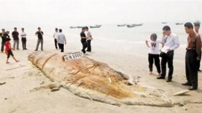 %D0%9B%D1%8E%D0%B1%D0%BE%D0%BF%D1%8B%D1%82%D0%BD%D1%8B%D1%85%20%D0%B7%D0%B5%D0%B2%D0%B0%D0%BA%20%D0%BD%D0%B5%20%D1%81%D0%BC%D0%BE%D0%B3%20%D0%BE%D1%82%D0%BF%D1%83%D0%B3%D0%BD%D1%83%D1%82%D1%8C%20%D0%B4%D0%B0%D0%B6%D0%B5%20%D0%B7%D0%BB%D0%BE%D0%B2%D0%BE%D0%BD%D0%BD%D1%8B%D0%B9%20%D0%B7%D0%B0%D0%BF%D0%B0%D1%85