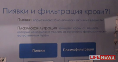 %D0%9F%D0%B8%D1%8F%D0%B2%D0%BA%D0%B8%20%D1%80%D0%B0%D0%B7%D0%B6%D0%B8%D0%B6%D0%B0%D1%8E%D1%82%20%D0%BA%D1%80%D0%BE%D0%B2%D1%8C