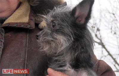 %D0%9C%D0%BE%D1%81%D0%BA%D0%BE%D0%B2%D1%81%D0%BA%D0%B8%D0%B9%20%D0%B4%D1%80%D0%B0%D0%BA%D0%BE%D0%BD%20%D0%BD%D0%B0%D0%BF%D0%BE%D0%BC%D0%B8%D0%BD%D0%B0%D0%B5%D1%82%20%D1%81%D0%BA%D0%B0%D0%B7%D0%BE%D1%87%D0%BD%D0%BE%D0%B5%20%D1%87%D1%83%D0%B4%D0%BE%D0%B2%D0%B8%D1%89%D0%B5%20%D0%B2%20%D0%BC%D0%B8%D0%BD%D0%B8%D0%B0%D1%82%D1%8E%D1%80%D0%B5