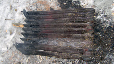 %D0%A7%D0%BB%D0%B5%D0%BD%D1%8B%20%D1%81%D0%B5%D0%BC%D1%8C%D0%B8%20%D0%BF%D0%BE%D0%B3%D0%B8%D0%B1%D0%BB%D0%B8%2C%20%D0%BF%D1%8B%D1%82%D0%B0%D1%8F%D1%81%D1%8C%20%D1%81%D0%BE%D0%B3%D1%80%D0%B5%D1%82%D1%8C%D1%81%D1%8F