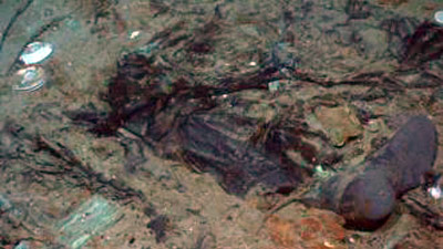 %D0%A4%D0%BE%D1%82%D0%BE%D0%B3%D1%80%D0%B0%D1%84%D0%B8%D1%8F%2C%20%D1%81%D0%B4%D0%B5%D0%BB%D0%B0%D0%BD%D0%BD%D0%B0%D1%8F%20%20NOAA%20%D0%B2%202004%20%D0%B3%D0%BE%D0%B4%D1%83%20(%20%D1%84%D0%BE%D1%82%D0%BE%20hosted.ap.org)