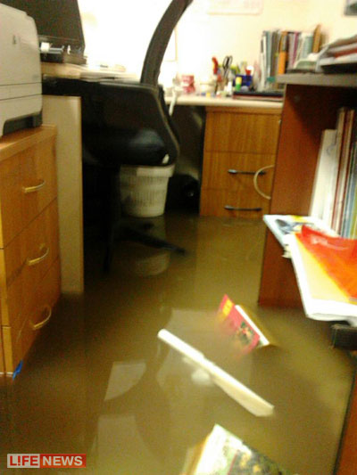 %D0%98%D0%B7%20%D1%83%D0%BF%D1%80%D0%B0%D0%B2%D0%BB%D0%B5%D0%BD%D0%B8%D1%8F%20%D0%BF%D0%BE%20%D0%B4%D0%B5%D0%BB%D0%B0%D0%BC%20%D0%BC%D0%BE%D0%BB%D0%BE%D0%B4%D0%B5%D0%B6%D0%B8%20%D1%8D%D0%B2%D0%B0%D0%BA%D1%83%D0%B8%D1%80%D0%BE%D0%B2%D0%B0%D0%BD%D1%8B%20%D0%B4%D0%B5%D1%81%D1%8F%D1%82%D0%BA%D0%B8%20%D1%87%D0%B5%D0%BB%D0%BE%D0%B2%D0%B5%D0%BA