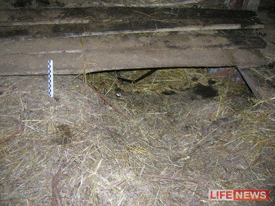 %D0%92%D1%85%D0%BE%D0%B4%20%D0%B2%20%D0%BF%D0%BE%D0%B4%D0%BF%D0%BE%D0%BB%2C%20%D0%B2%20%D0%BA%D0%BE%D1%82%D0%BE%D1%80%D0%BE%D0%BC%20%D0%BF%D1%80%D1%8F%D1%82%D0%B0%D0%BB%D1%81%D1%8F%20%D1%83%D0%B1%D0%B8%D0%B9%D1%86%D0%B0%2C%20%D0%B1%D1%8B%D0%BB%20%D1%85%D0%BE%D1%80%D0%BE%D1%88%D0%BE%20%D1%81%D0%BF%D1%80%D1%8F%D1%82%D0%B0%D0%BD