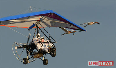 %D0%9F%D1%82%D0%B8%D1%86%20%D1%83%D1%87%D0%B8%D0%BB%D0%B8%20%D0%BB%D0%B5%D1%82%D0%B0%D1%82%D1%8C%20%D1%81%20%D0%BF%D0%BE%D0%BC%D0%BE%D1%89%D1%8C%D1%8E%20%D0%B4%D0%B5%D0%BB%D1%8C%D1%82%D0%B0%D0%BF%D0%BB%D0%B0%D0%BD%D0%B0