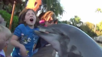 %D0%93%D0%BE%D0%BB%D0%BE%D0%B4%D0%BD%D0%BE%D0%B5%20%D0%B6%D0%B8%D0%B2%D0%BE%D1%82%D0%BD%D0%BE%D0%B5%20%D0%B7%D0%B0%D0%B3%D0%BB%D0%BE%D1%82%D0%B8%D0%BB%D0%BE%20%D1%80%D1%83%D0%BA%D1%83%20%D0%B4%D0%B5%D0%B2%D0%BE%D1%87%D0%BA%D0%B8%20%D0%BF%D0%BE%20%D0%BB%D0%BE%D0%BA%D0%BE%D1%82%D1%8C%20(%D1%84%D0%BE%D1%82%D0%BE%3A%20youtube.com)