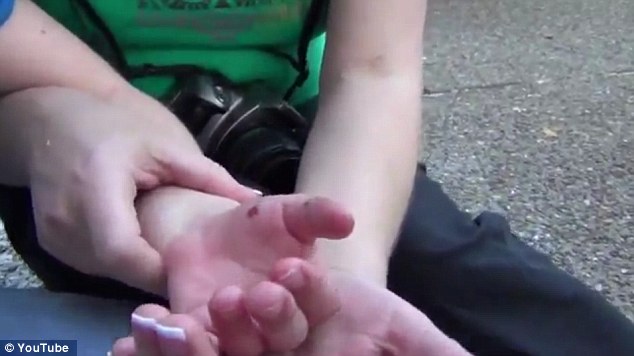 %D0%94%D0%B5%D0%BB%D1%8C%D1%84%D0%B8%D0%BD%20%D0%BF%D1%80%D0%BE%D0%BA%D1%83%D1%81%D0%B8%D0%BB%20%D1%80%D1%83%D0%BA%D1%83%20%D0%94%D0%B6%D0%B8%D0%BB%D0%B8%D0%B0%D0%BD%20%D0%B2%20%D0%BD%D0%B5%D1%81%D0%BA%D0%BE%D0%BB%D1%8C%D0%BA%D0%B8%D1%85%20%D0%BC%D0%B5%D1%81%D1%82%D0%B0%D1%85%20(%D1%84%D0%BE%D1%82%D0%BE%3A%20youtube.com)