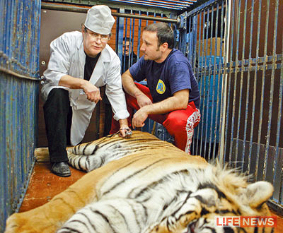 %D0%94%D1%80%D0%B5%D1%81%D1%81%D0%B8%D1%80%D0%BE%D0%B2%D1%89%D0%B8%D0%BA%D0%B8%20%D1%88%D0%BE%D0%BA%D0%B8%D1%80%D0%BE%D0%B2%D0%B0%D0%BD%D1%8B%20%D1%80%D0%B5%D0%B7%D1%83%D0%BB%D1%8C%D1%82%D0%B0%D1%82%D0%B0%D0%BC%D0%B8%20%D1%8D%D0%BA%D1%81%D0%BF%D0%B5%D1%80%D1%82%D0%B8%D0%B7%D1%8B