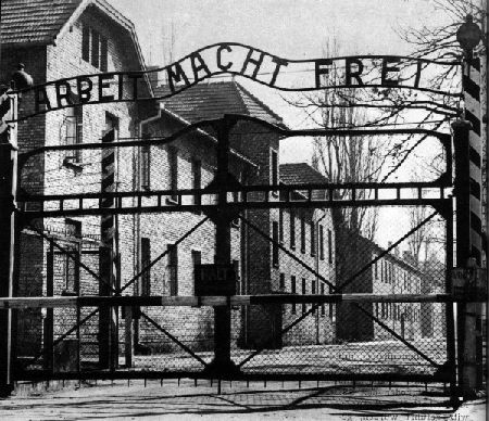 an overview of the homosexual survivors during the holocaust an overview of the homosexual survivors during the holocaust