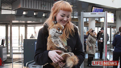 %20%20%D0%A3%D0%BF%D0%BE%D1%80%D0%BE%D1%82%D1%8B%D0%B9%20%D0%9B%D0%B8%D1%81%20%D1%81%D1%82%D0%B0%D0%BB%20%D0%BF%D0%B5%D1%80%D0%B2%D1%8B%D0%BC%20%D0%BA%D1%80%D1%83%D0%BF%D0%BD%D1%8B%D0%BC%20%D0%BF%D1%80%D0%BE%D0%B5%D0%BA%D1%82%D0%BE%D0%BC%20%D0%90%D0%B4%D0%B5%D0%BB%D1%8C