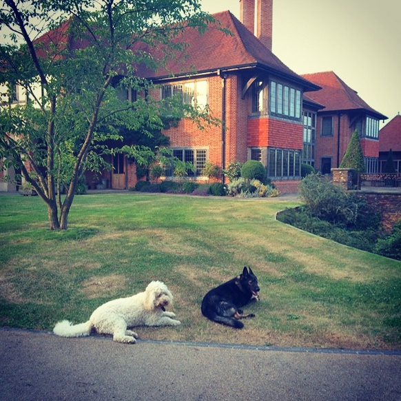 Поместье первой семьи Романа Абрамовича в графстве Хэмпшир