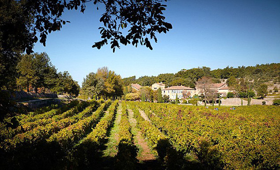 Также вблизи поместья находятся виноградники...