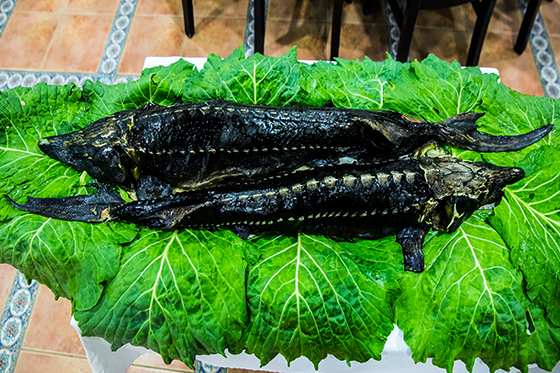 Главным блюдом банкета стал запеченный полутораметровый осетр