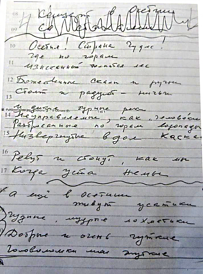 Последнее письмо Елены Образцовой премьер-министру Северной Осетии Сергею Такоеву