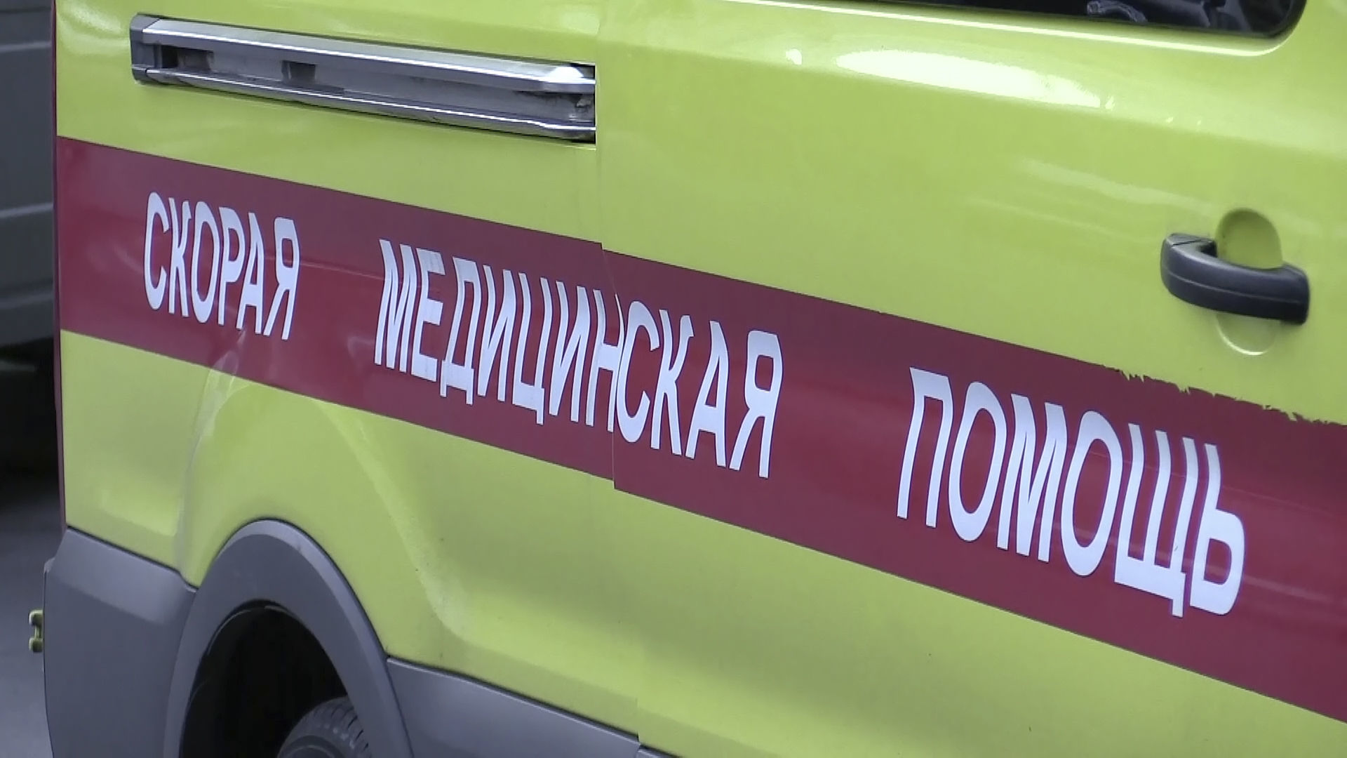 Фото: &copy; L!FE