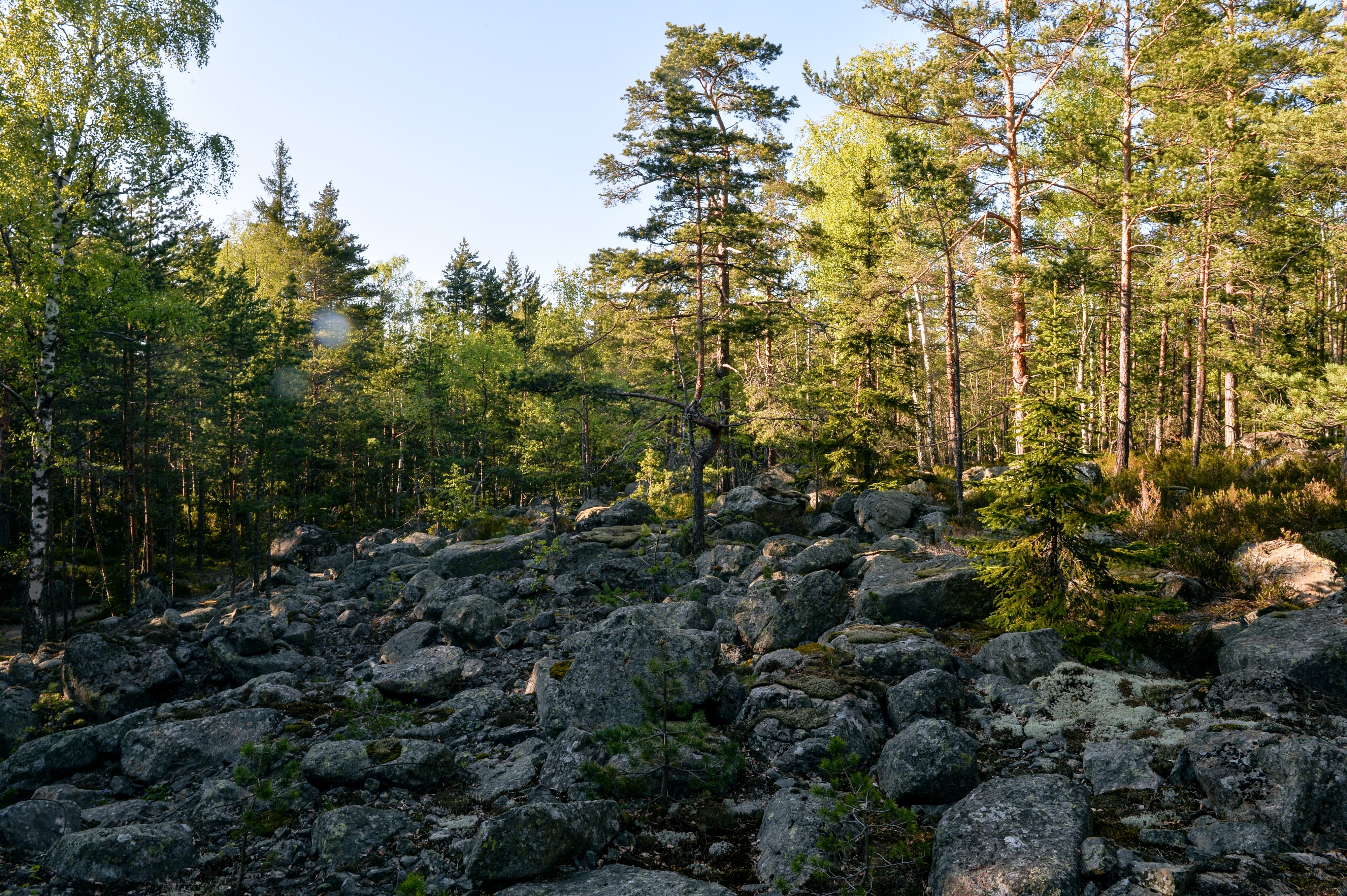 Остров гогланд. Остров Гогланд каменная река. Остров Гогланд Ленинградская область. Жители острова Гогланд.