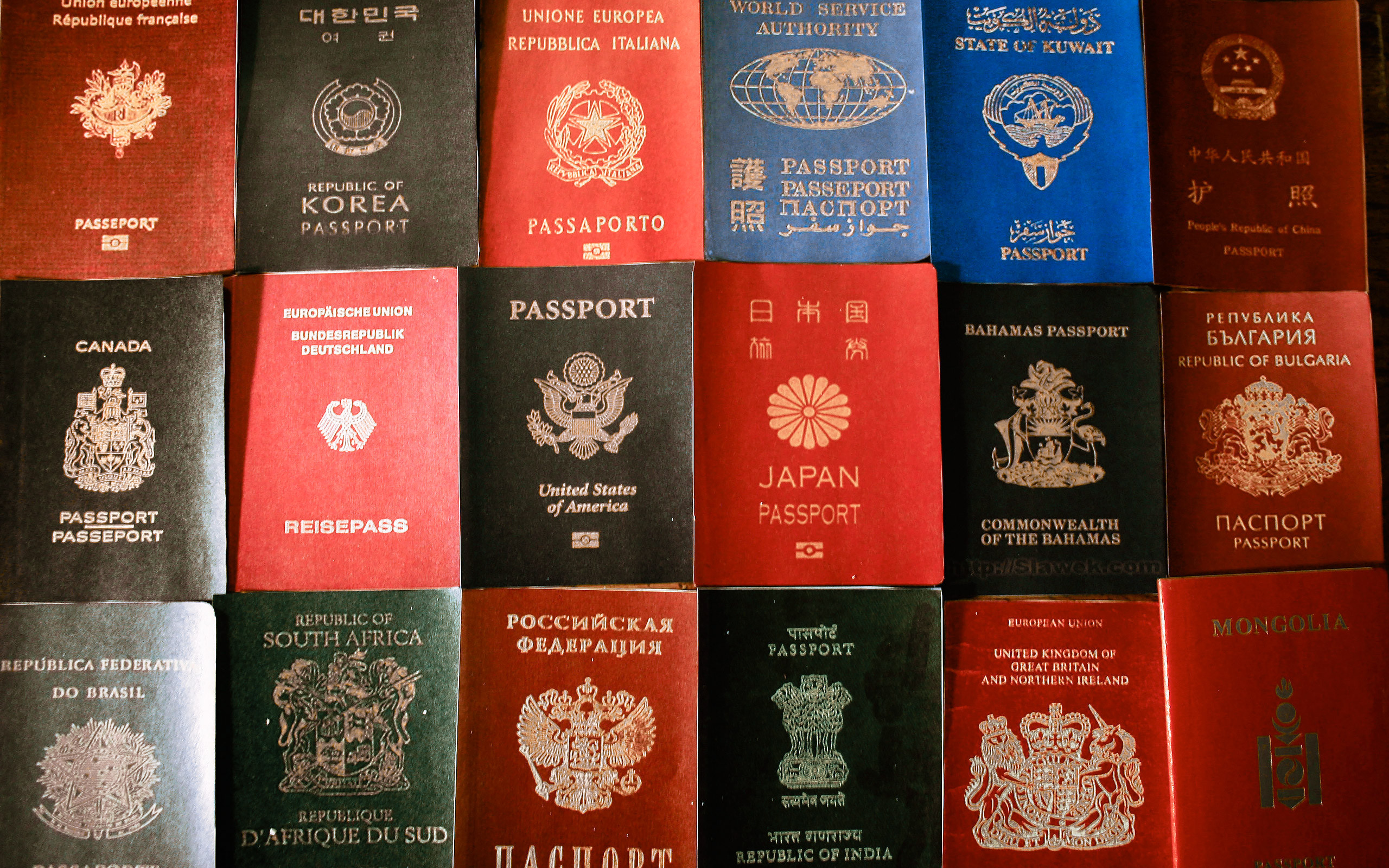 Фото На Паспорт Какого Цвета