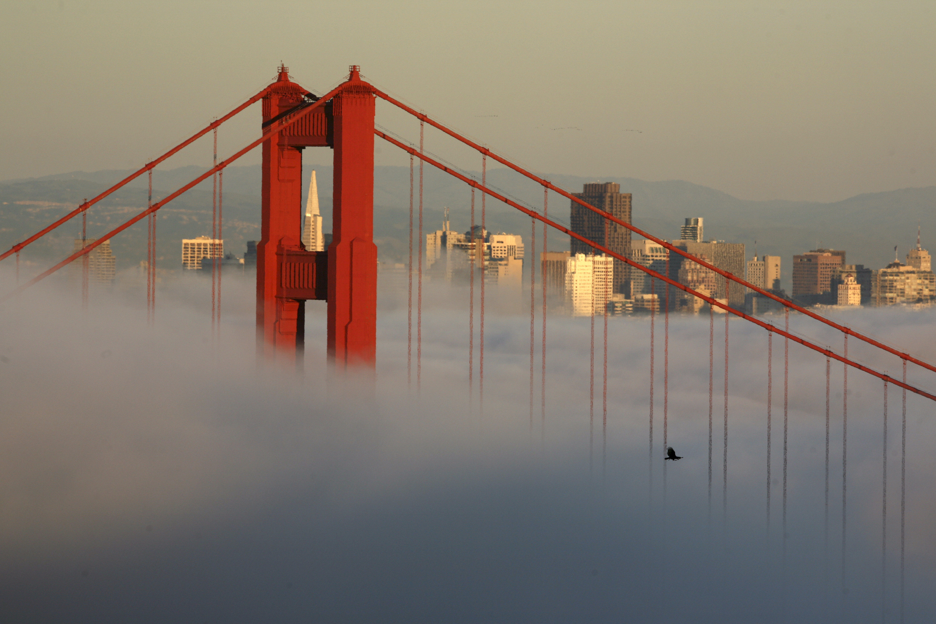 <p>Знаменитый мост Золотые Ворота в Сан-Франциско. Фото: &copy; REUTERS/Robert Galbraith</p>
<p>&nbsp;</p>