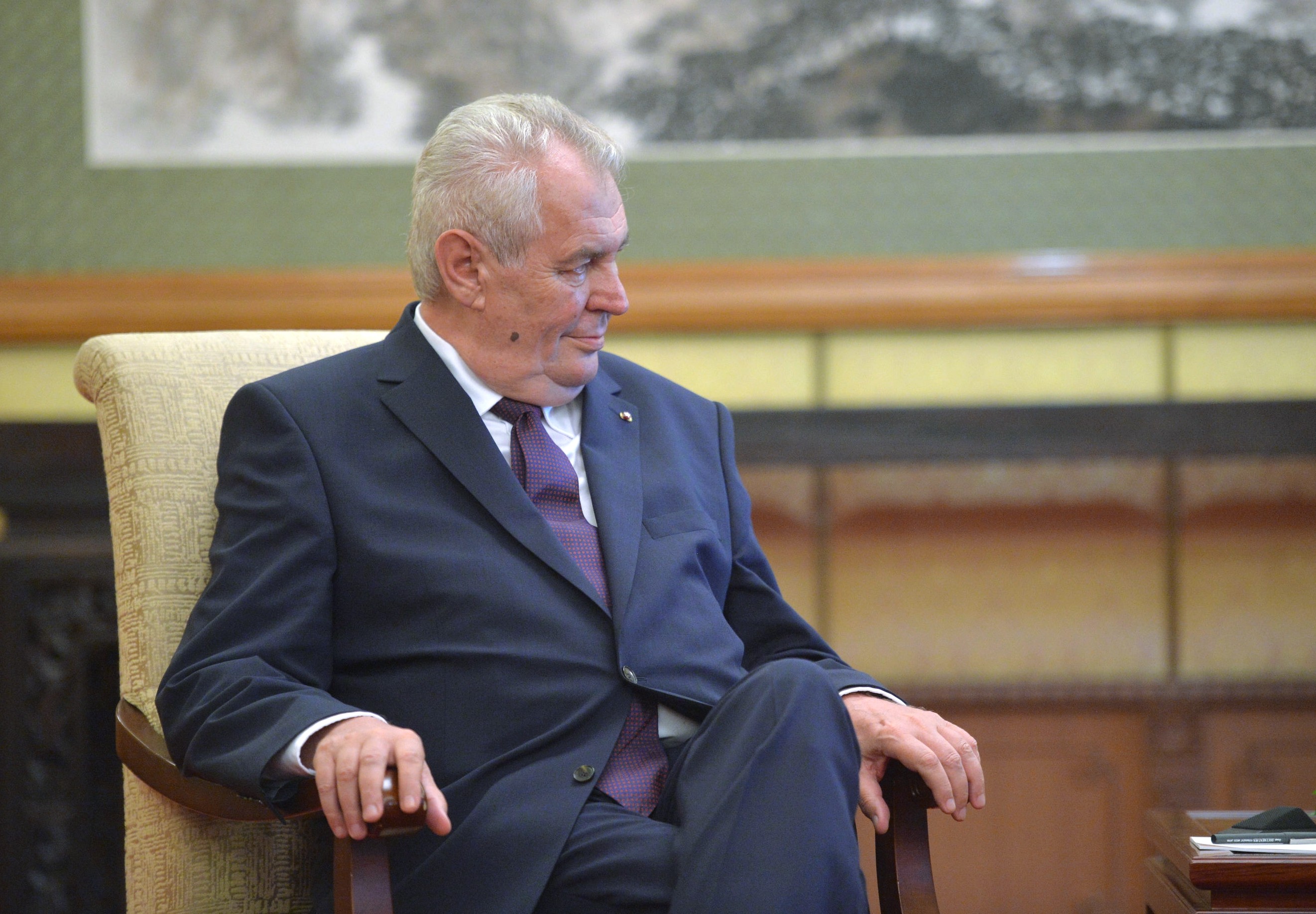 Земан. Земан. Милош земан фото. Милош земан. Чехия милош земан.