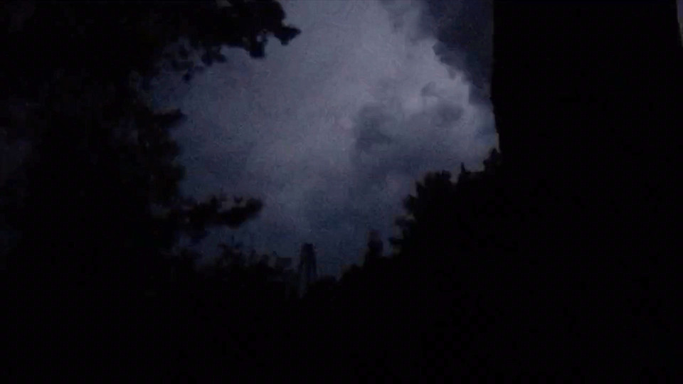 Фото: &copy;L!FE