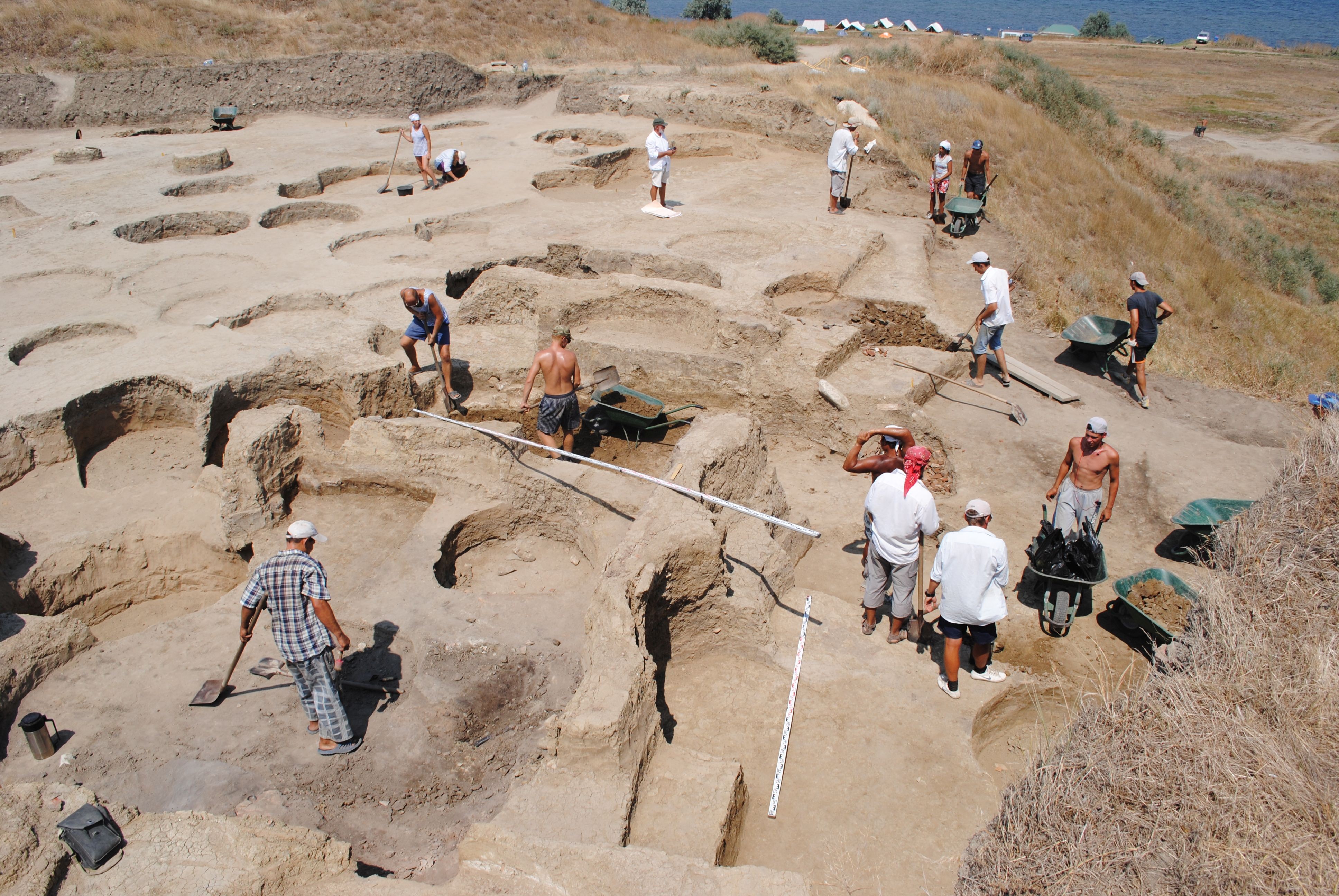 Провести археологические раскопки