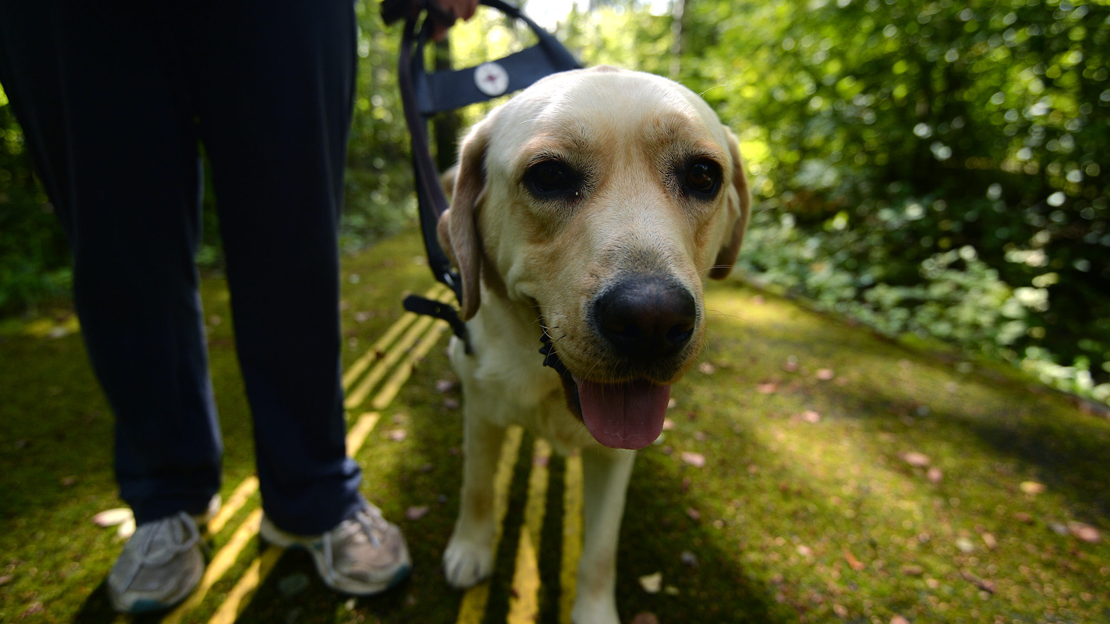 Фото: &copy; L!FE/Дмитрий Киселёв