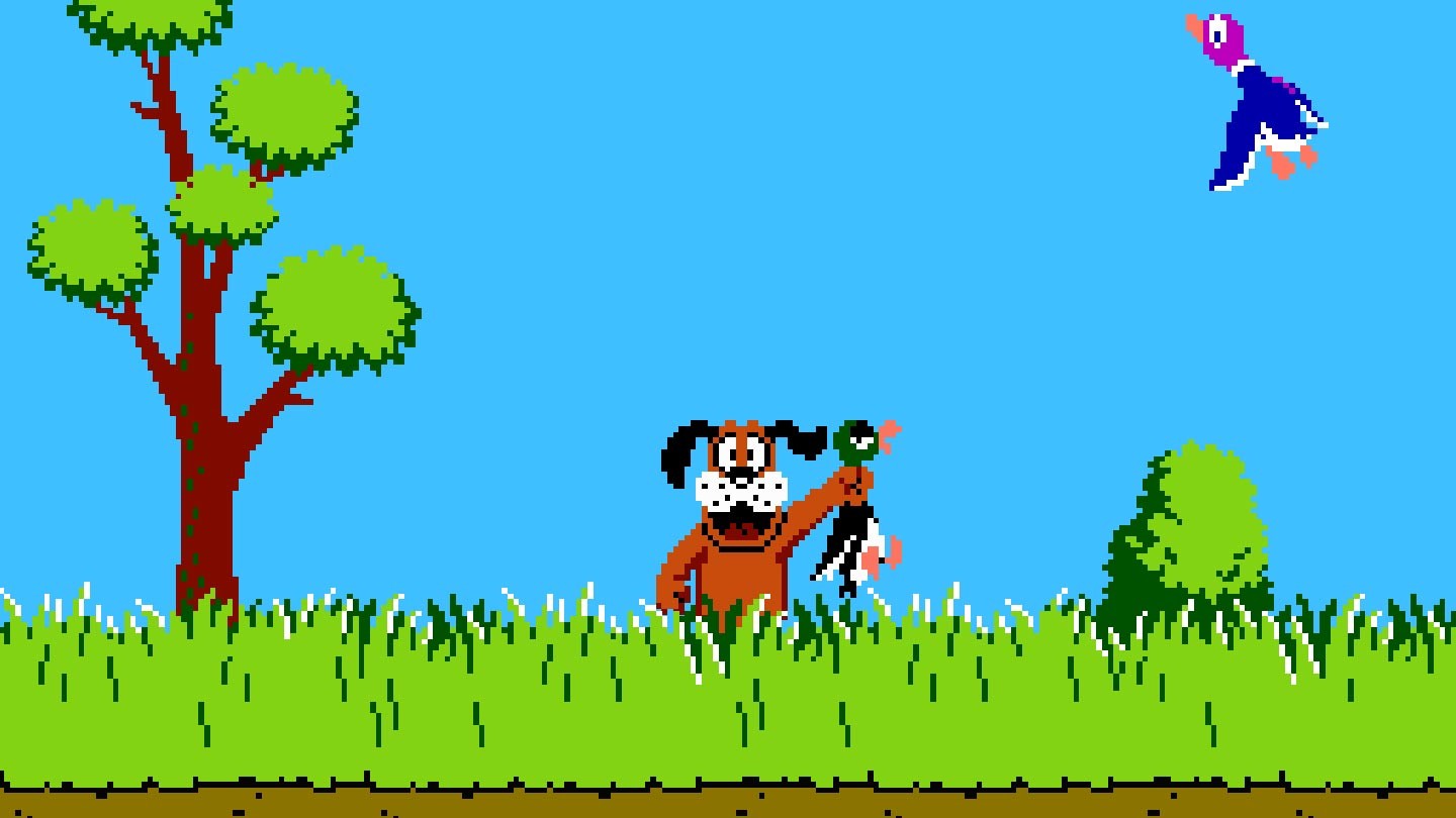 Скриншот игры "Duck hunt"