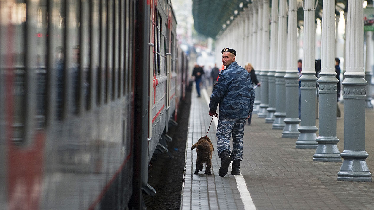 Фото: &copy; РИА Новости/Александр Вильф


