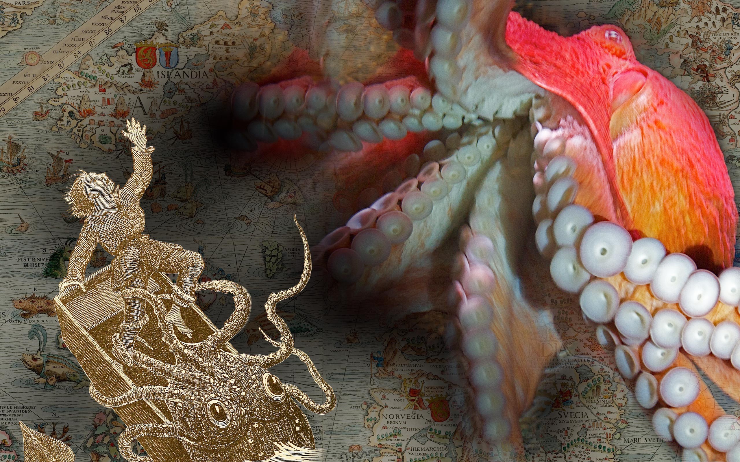 Кракен поднимается: Вымышленные и реальные чудовища из морских глубин