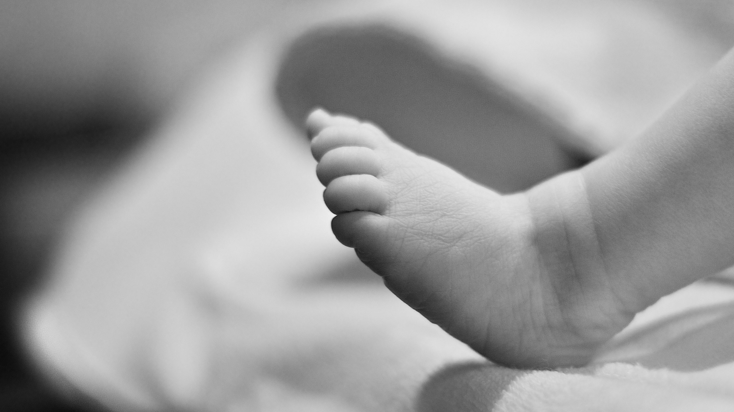 Фото: &copy;&nbsp;flickr.com/ethan john