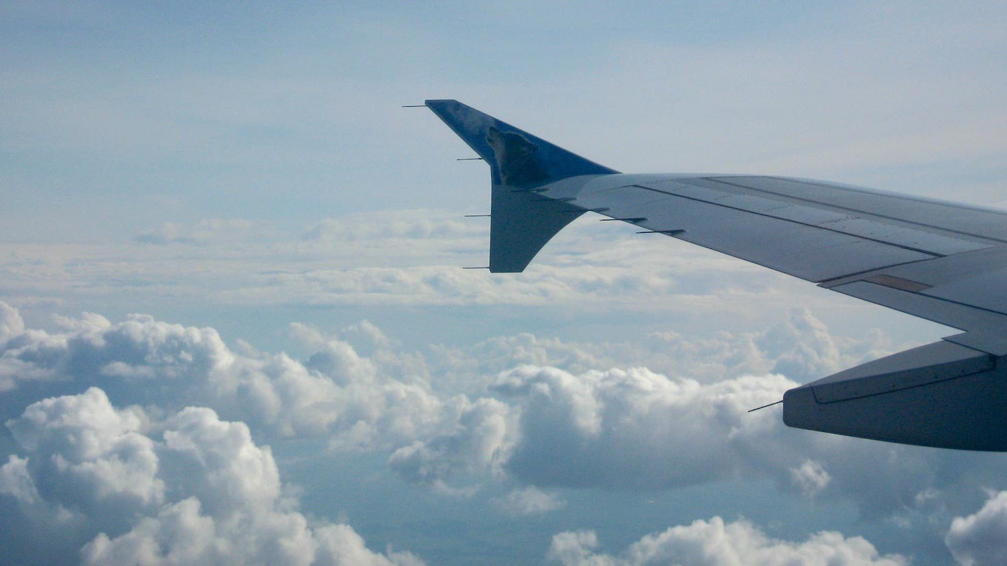 Фото: &copy;&nbsp;flickr.com/Daniel Hedrick