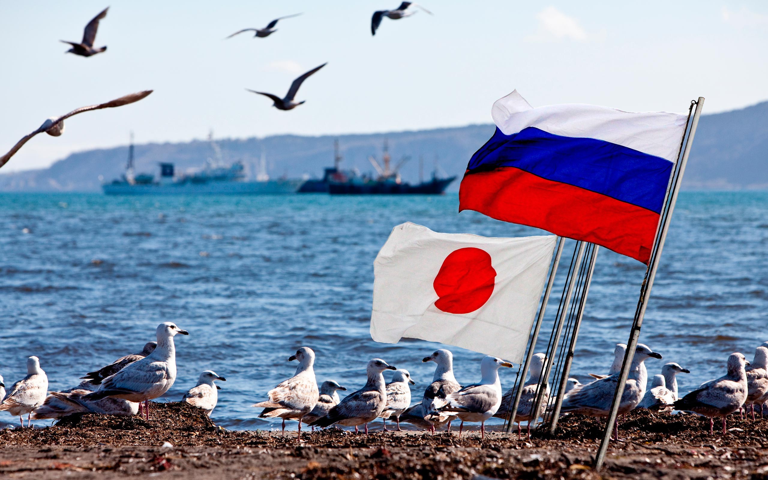 Знамя закуривавший. Флаг Курильских островов. Япония протест Курилы. Россия и Япония. Российско-японские отношения.