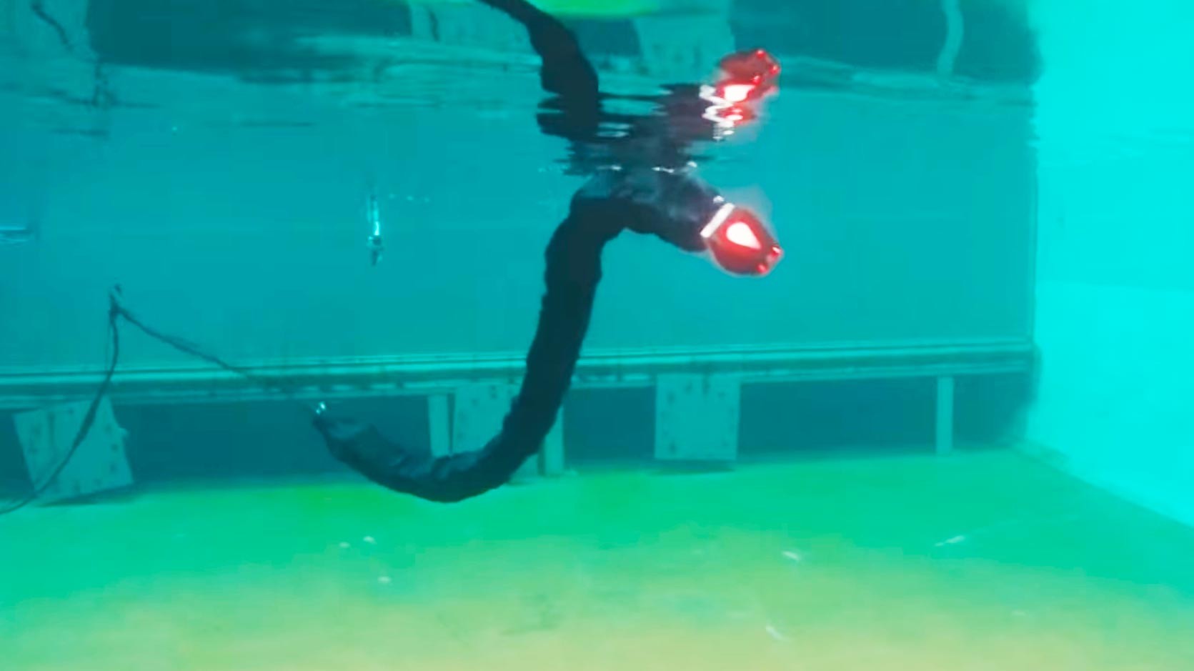 Кадр видео &ldquo;Swimming robot for maintenance and inspections&rdquo;. Скриншот &copy; L!FE