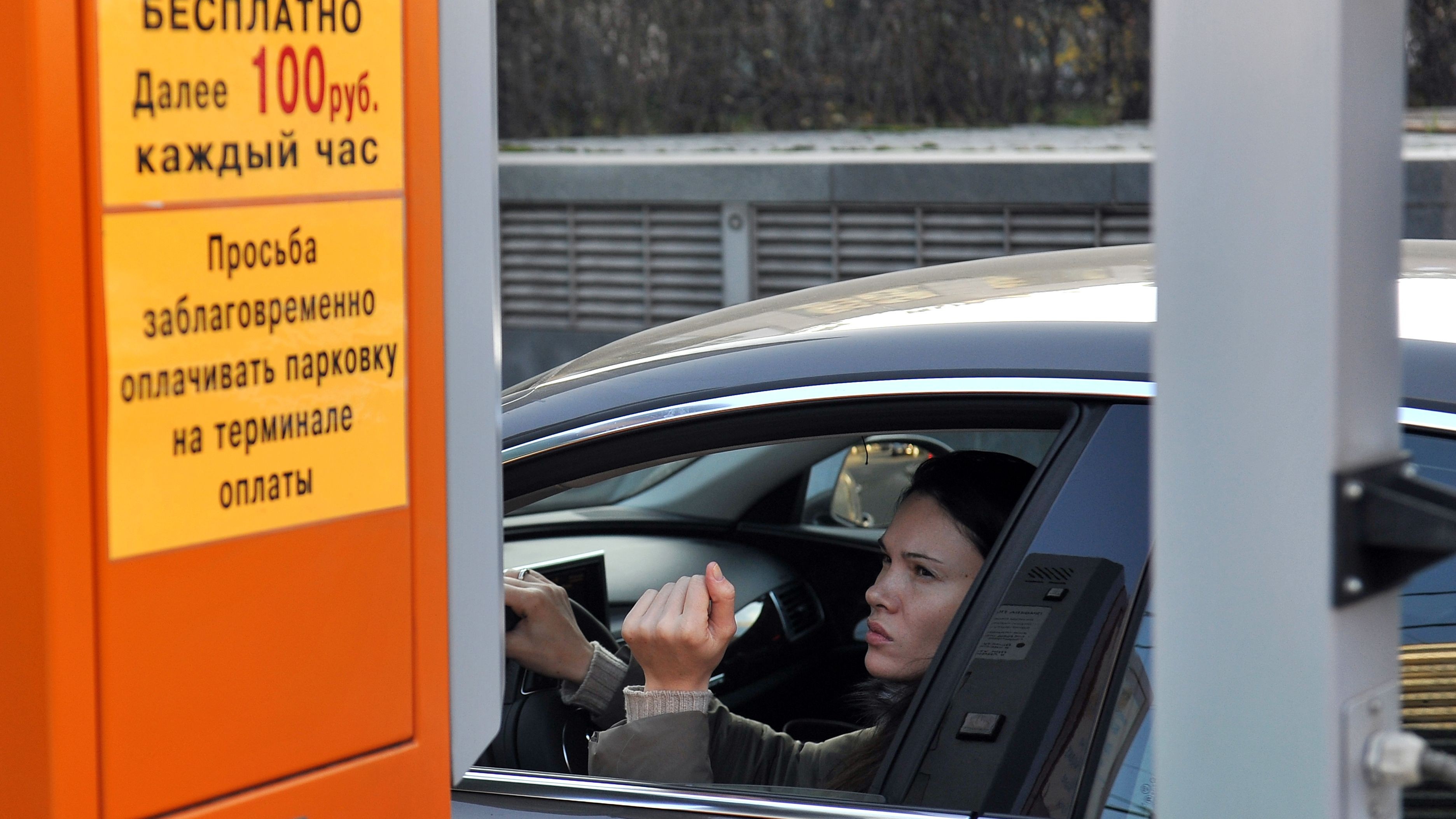 Парковка на Неглинной, Малой Бронной и Петровке подорожает до 200 рублей