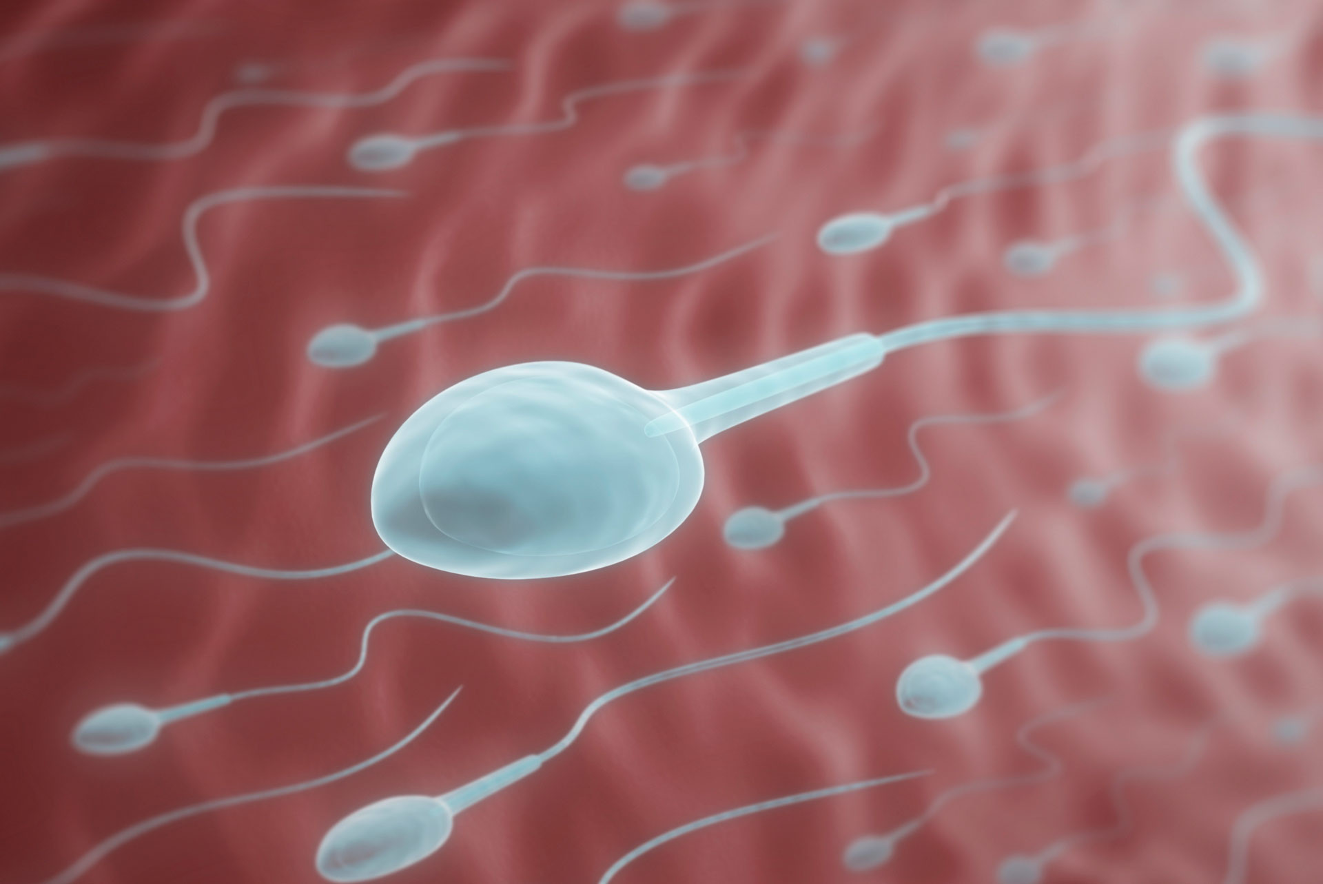 объем спермы в организме фото 80