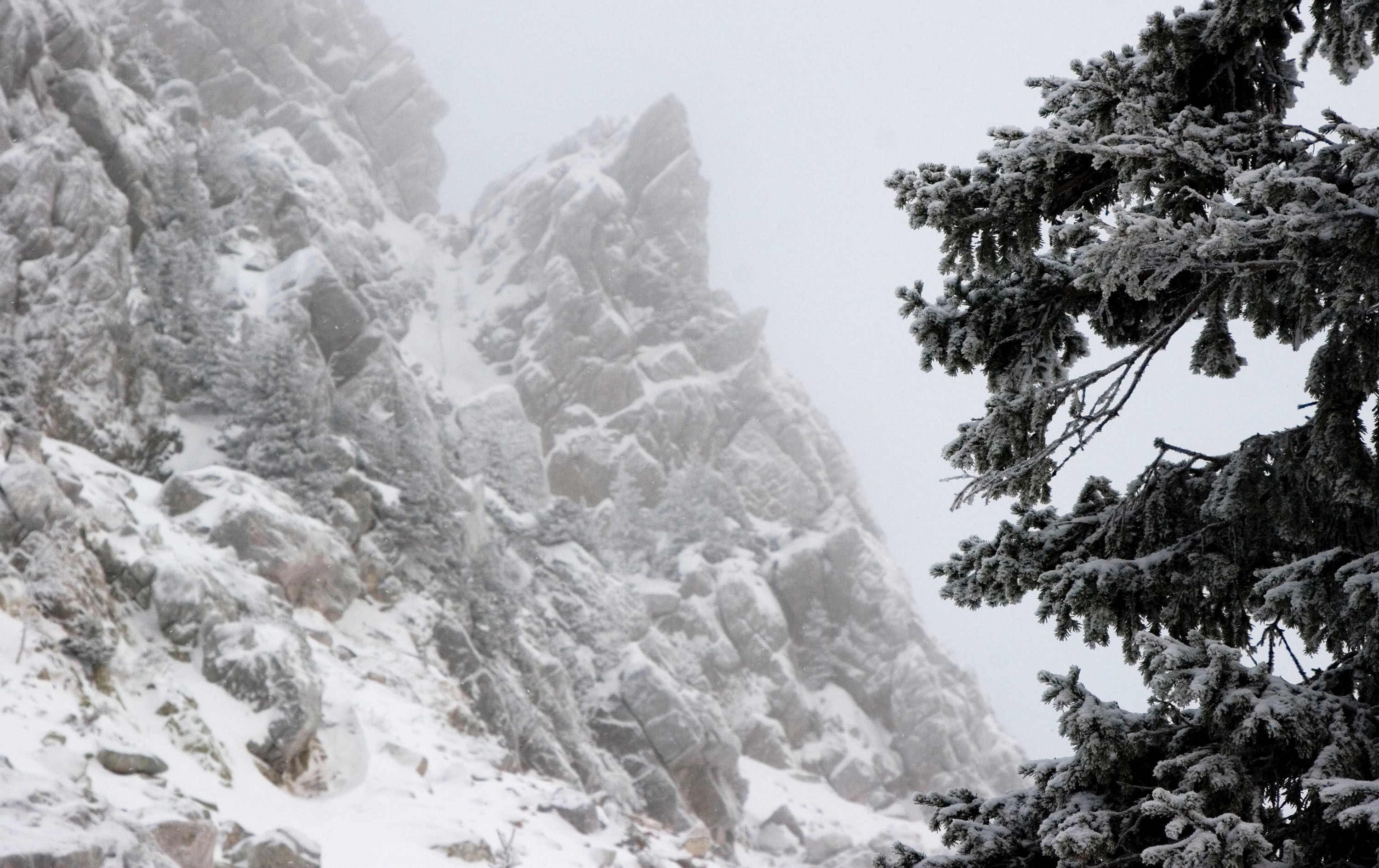 Фото: &copy; РИА Новости/Александр Алпаткин