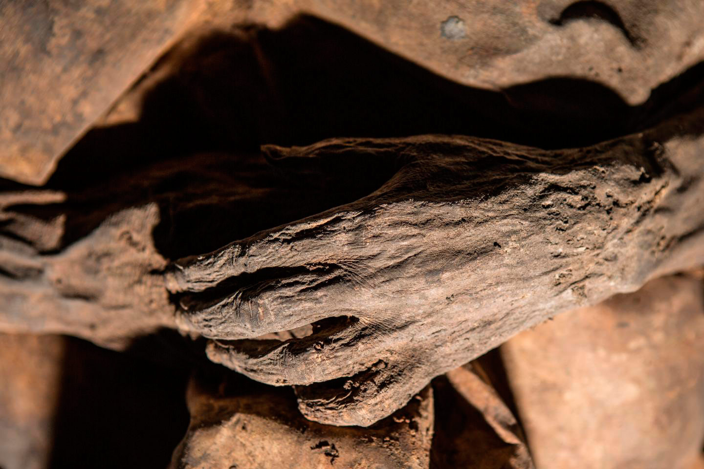 Фото: &copy;&nbsp;eurekalert.org/Kiril Cachovski of the Lithuanian Mummy Project