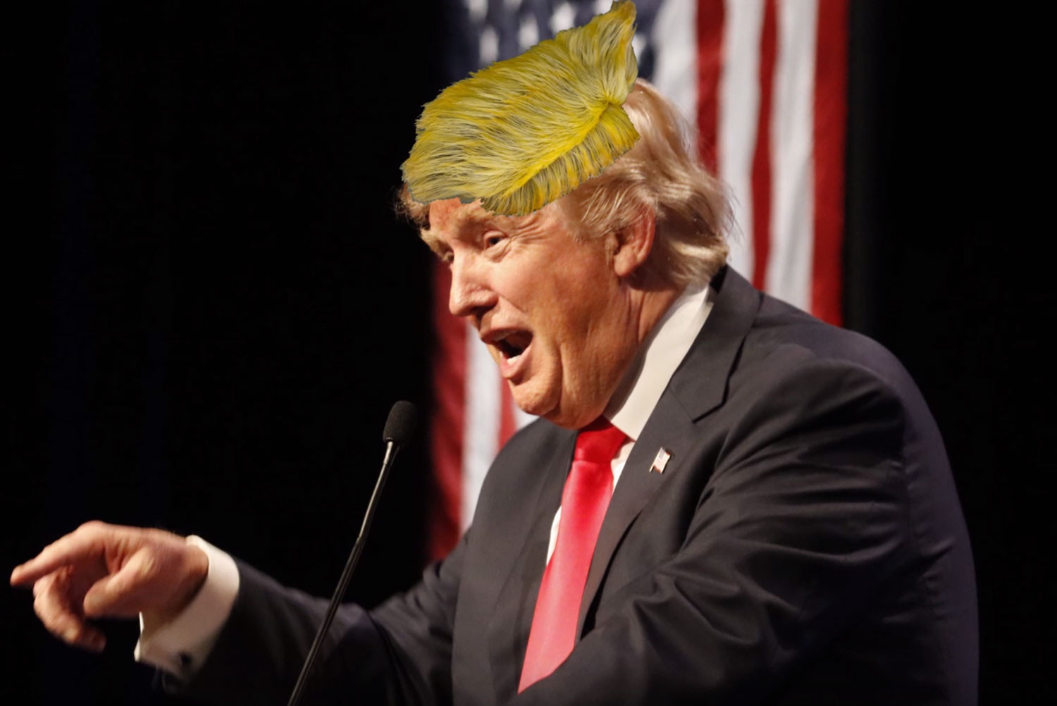 Кадр видео &ldquo;Meet The Donald Trump Caterpillar&rdquo;. Скриншот &copy; L!FE