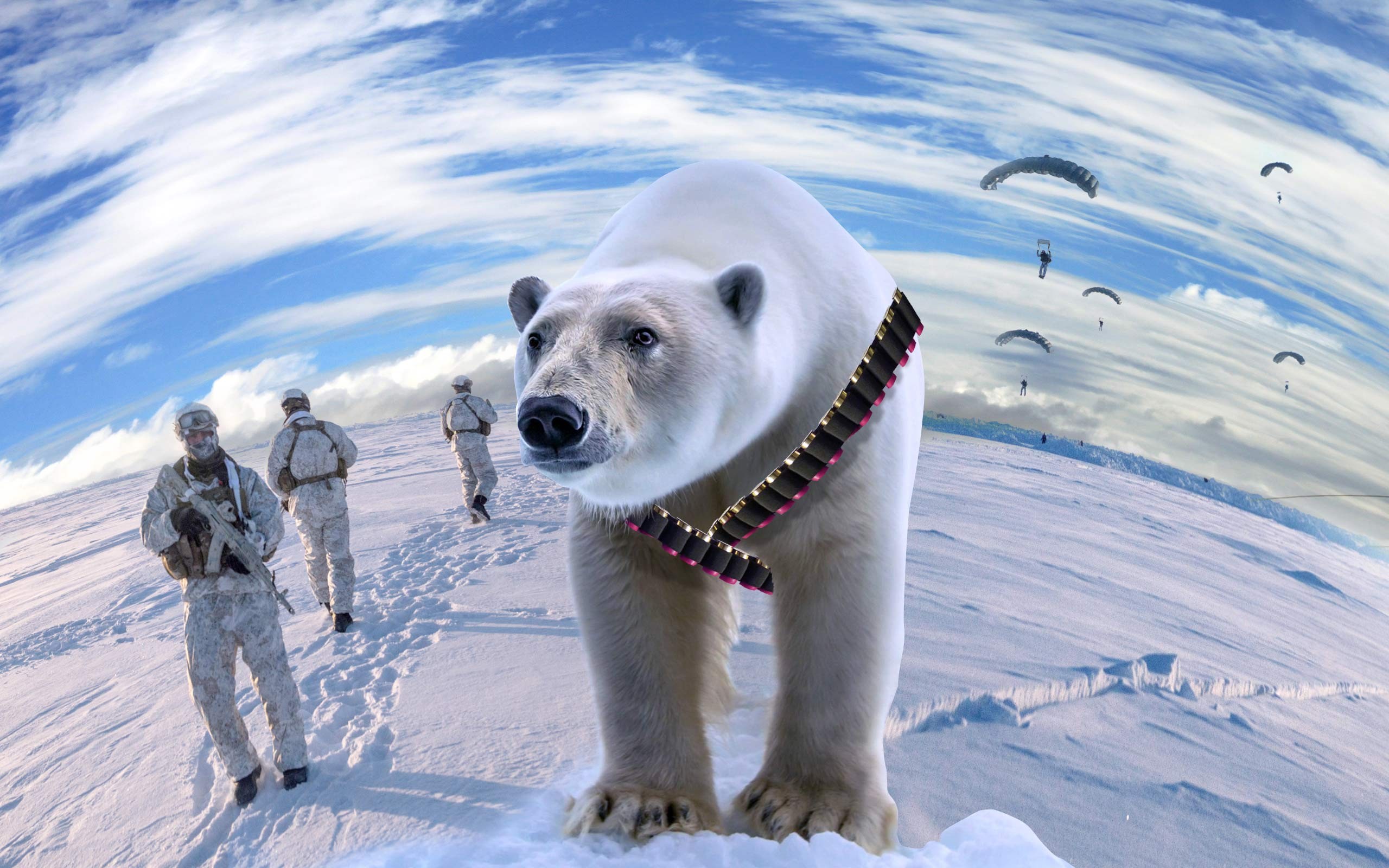 Арктика жизнь белого медведя. Белые медведи в Арктике. Белый медведь в России. Белый медведь Северный полюс. Покорение Арктики.
