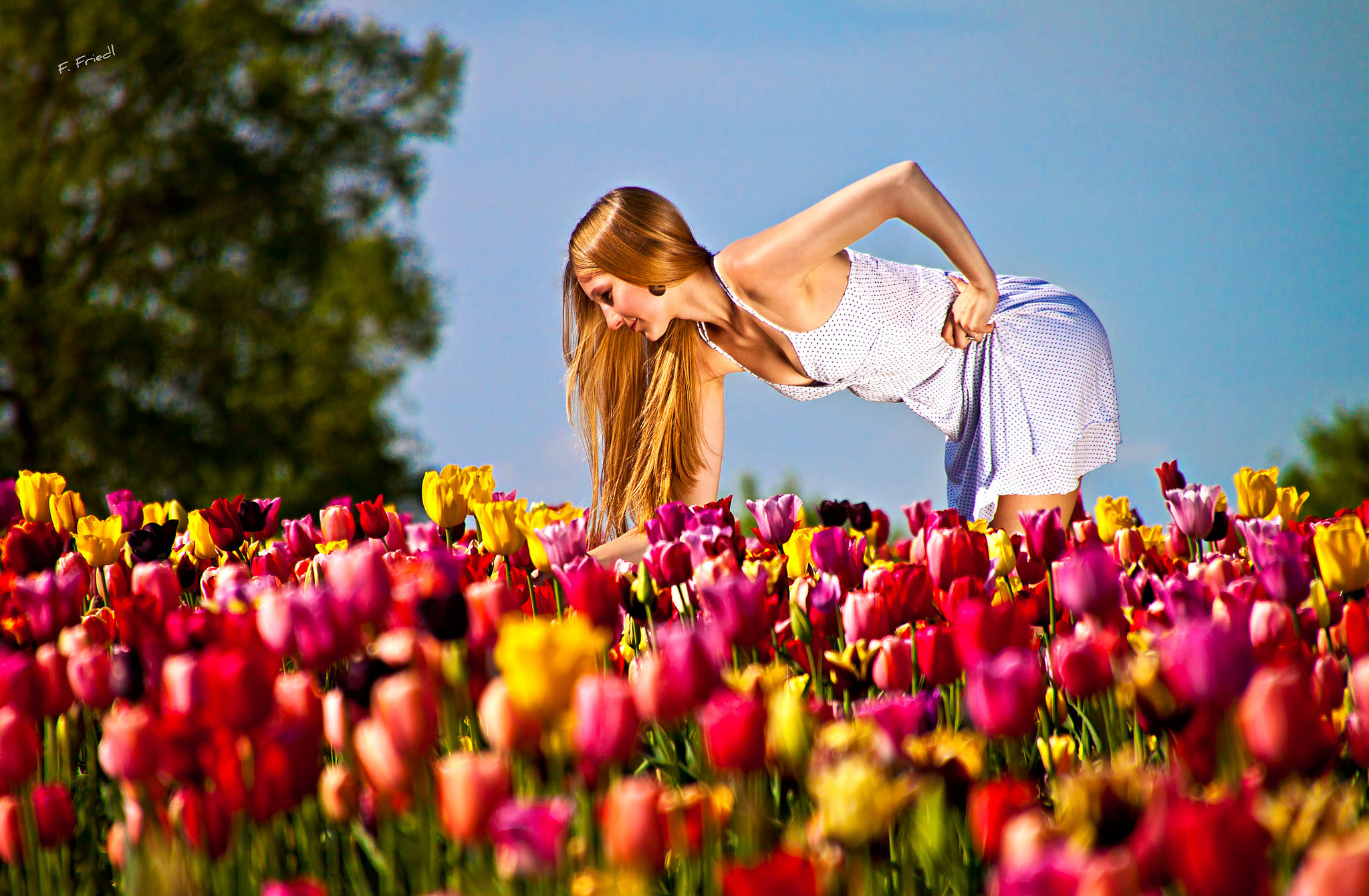 Фото: &copy;&nbsp;flickr.com/Florian F. (Flowtography)