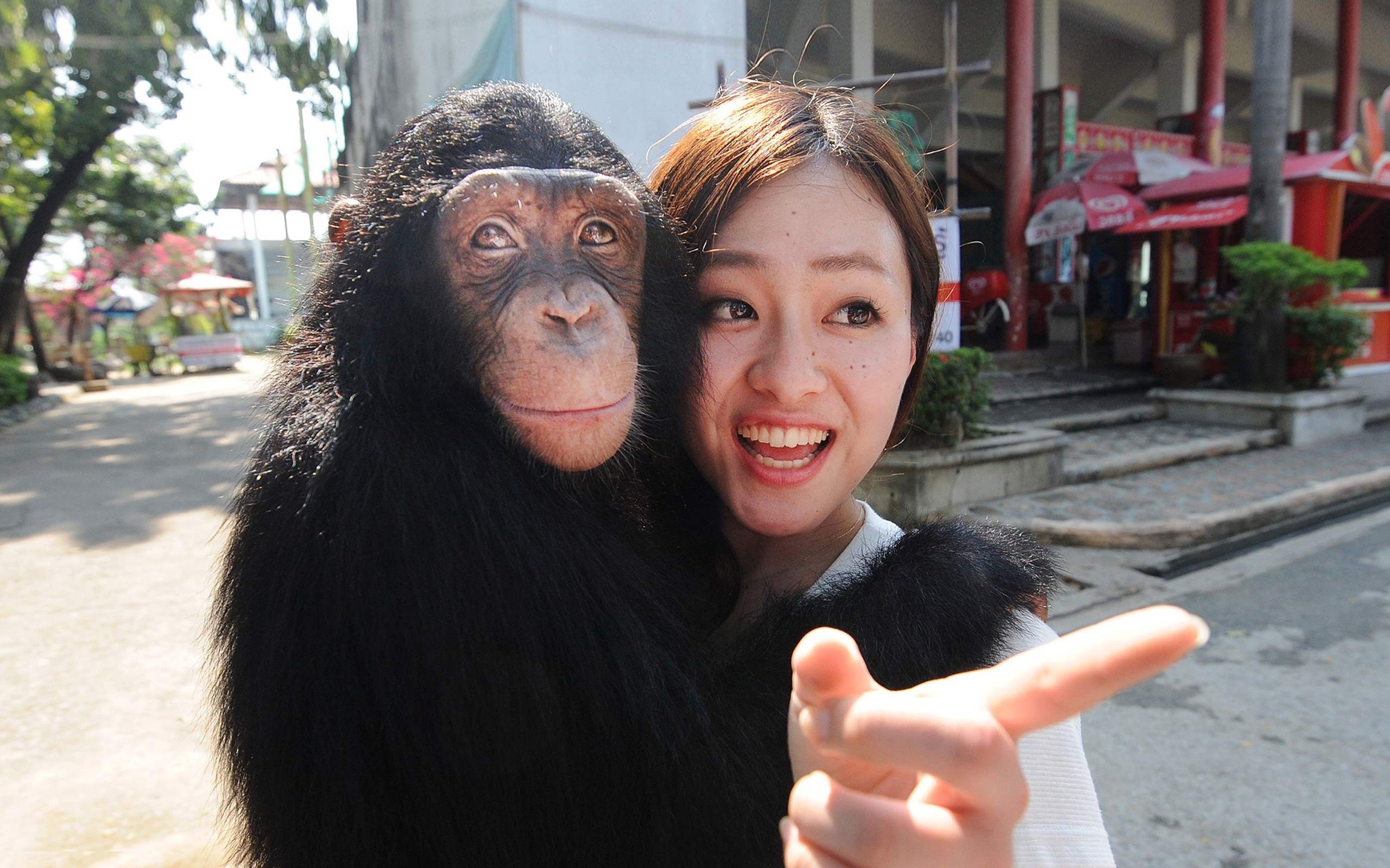 Чего нельзя делать в Таиланде ни в коем случае: 7 правил