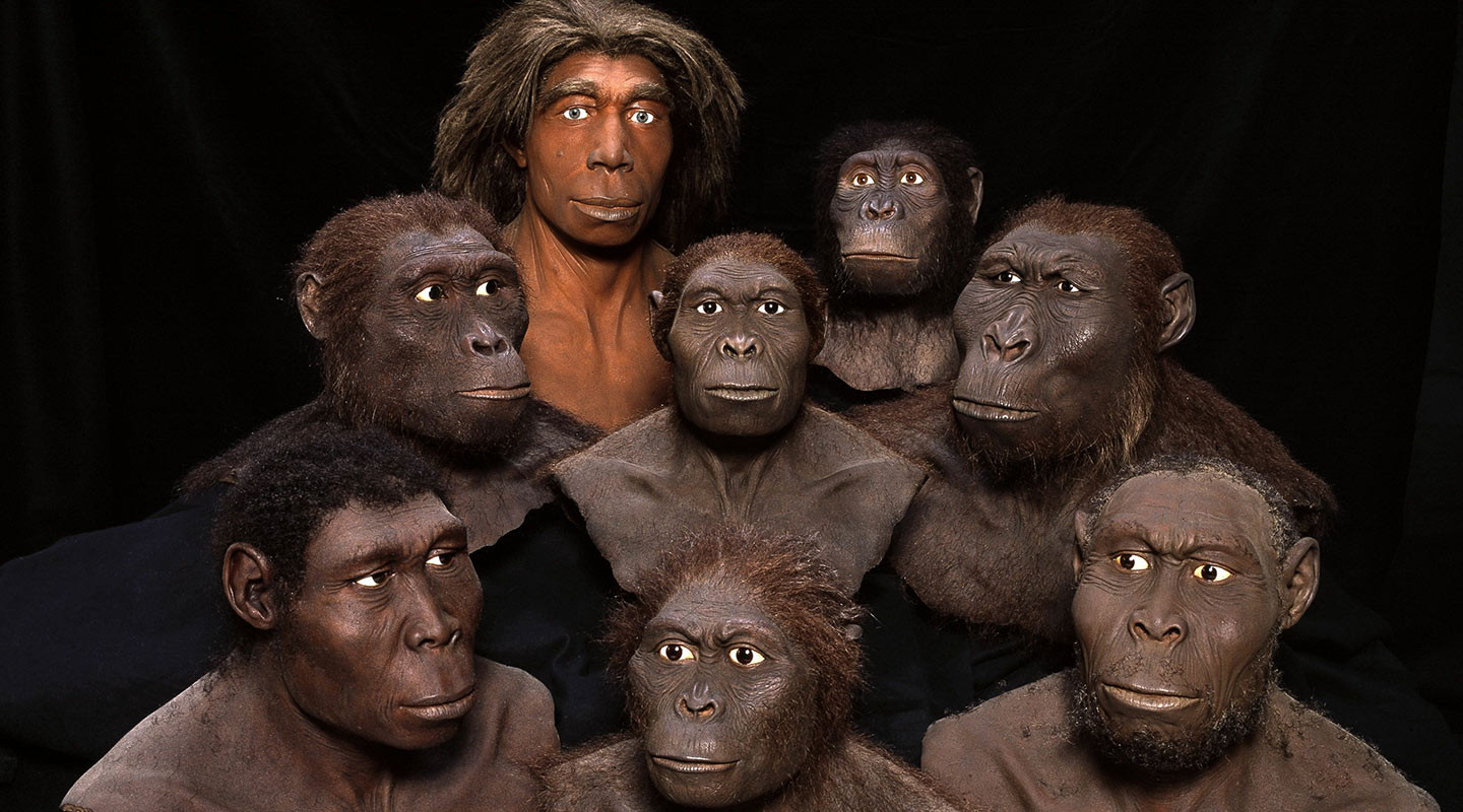 Жизнь миллион лет назад. Австралопитеки гоминид. Человекообразные гоминиды. Доисторические обезьяны. Древние гоминиды.