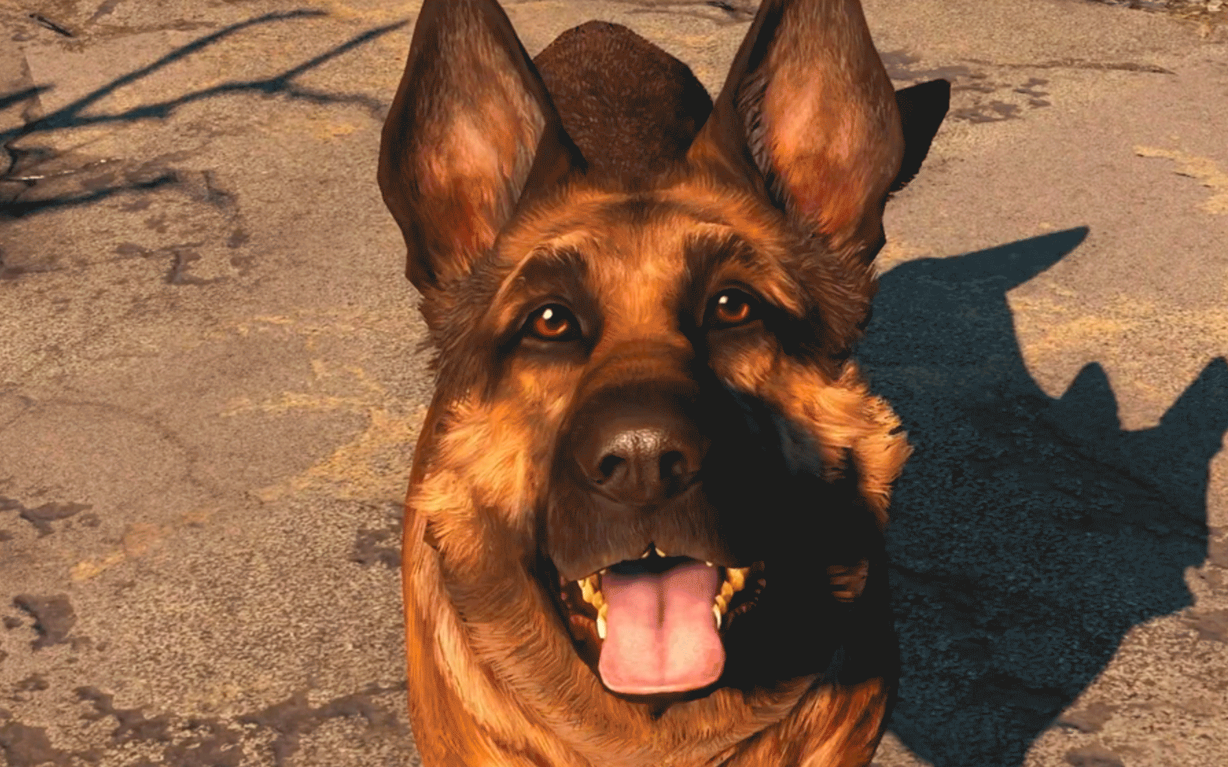 <p>Фото: &copy;&nbsp;<a href="http://fallout.wikia.com/wiki/Dogmeat_(Fallout_4)?file=Fo4_Dogmeat_E3_Outtro.png" target="_blank">fallout.wikia.com</a></p>