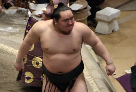 Фото: &copy; japan-sumo.ru